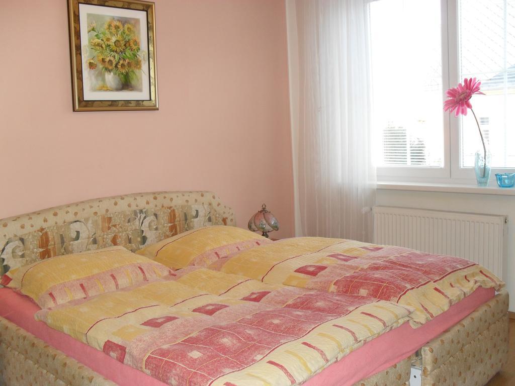 Pension Rak Karlovy Vary Dış mekan fotoğraf